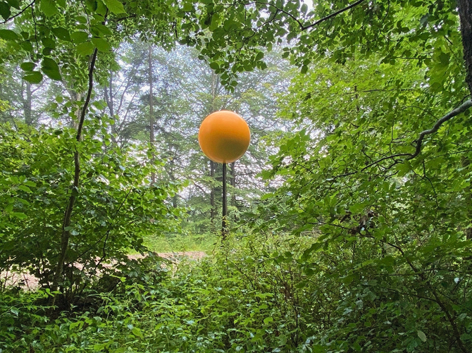 Die Sonne auf dem Uetliberg als Startpunkt zur Wanderung durch unser Planetensystem.